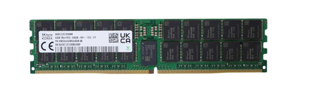 SK Hynix 64GB DDR5 6400MHz ECC Sunucu RAM (HMCG94AHBRA481N AA)